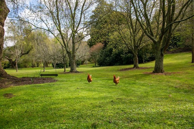 Photo of property in 182 Thornton Road, Cambridge, 3434