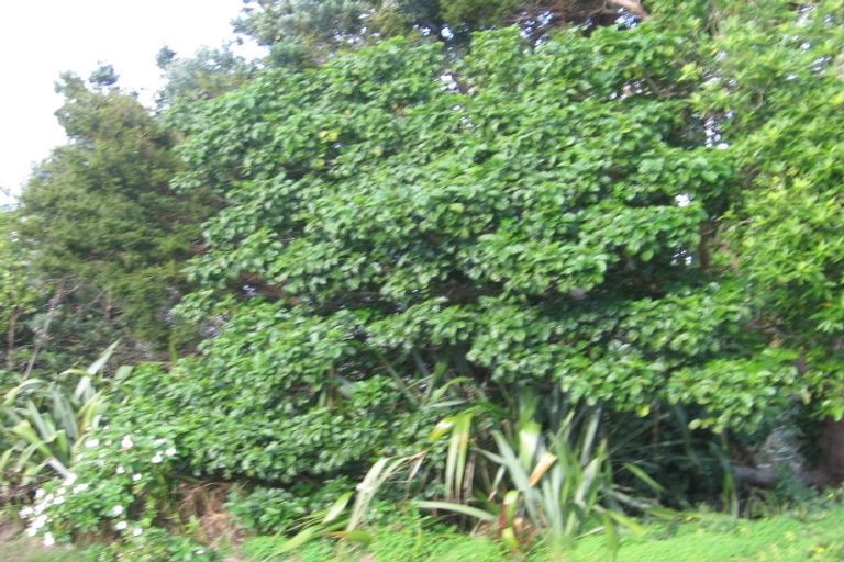 Photo of property in 40 Barrier View Road, Leigh, 0985