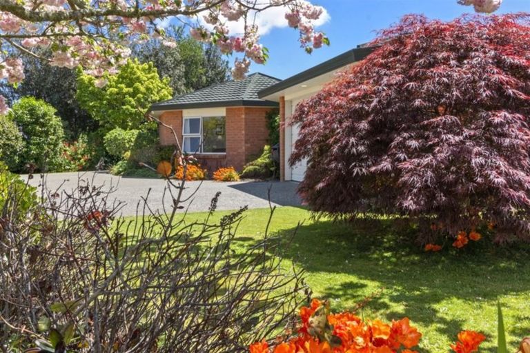 Photo of property in 1 Links View Drive, Omokoroa, 3114