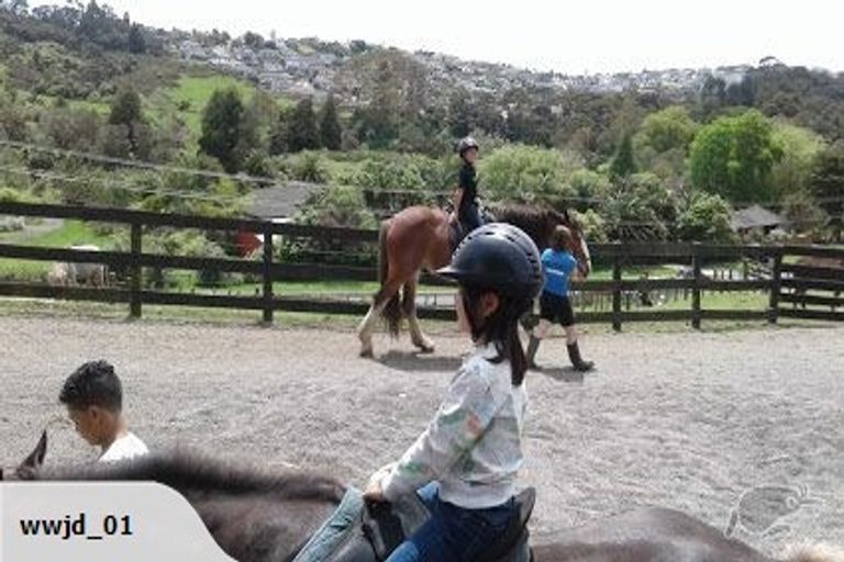 Photo of property in 32 Misty Valley Drive, Henderson, Auckland, 0612