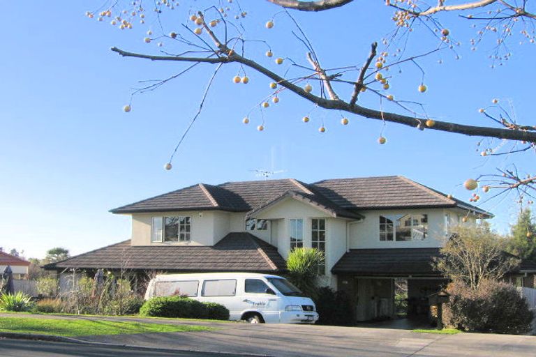 Photo of property in 3 Stella Place, Chartwell, Hamilton, 3210