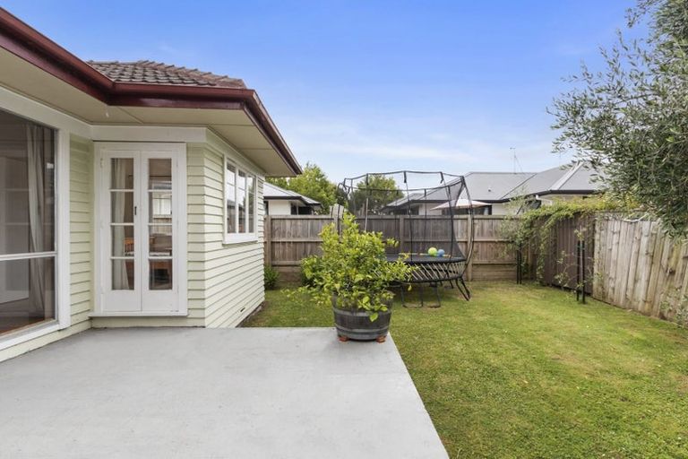 Photo of property in 77 Clarkin Road, Fairfield, Hamilton, 3214