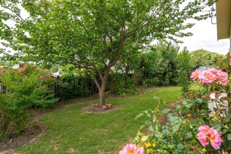 Photo of property in 1 Argosy Place, Blenheim, 7201