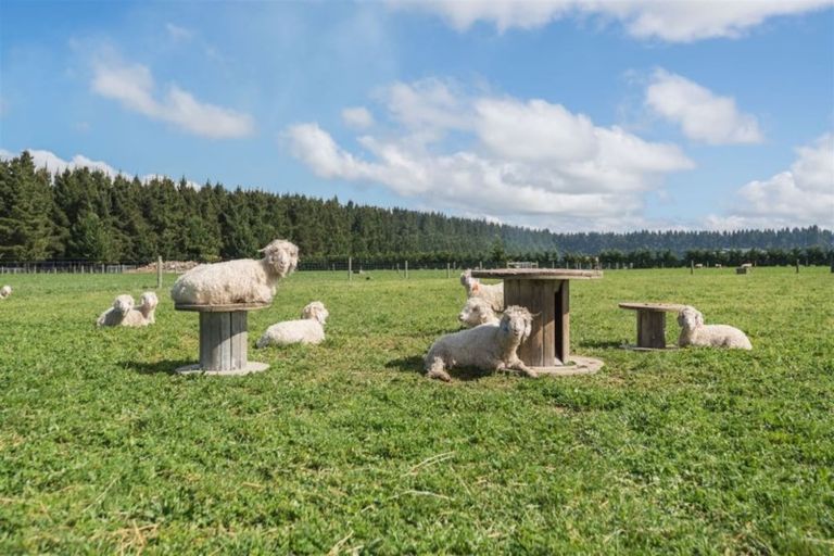 Photo of property in 91 Pesters Road, Eyrewell, Rangiora, 7476