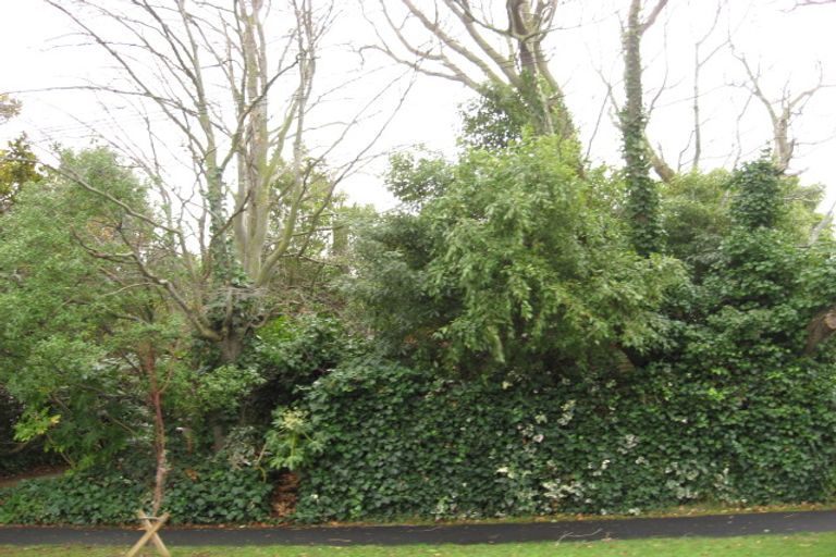 Photo of property in 43 Webb Street, St Albans, Christchurch, 8014