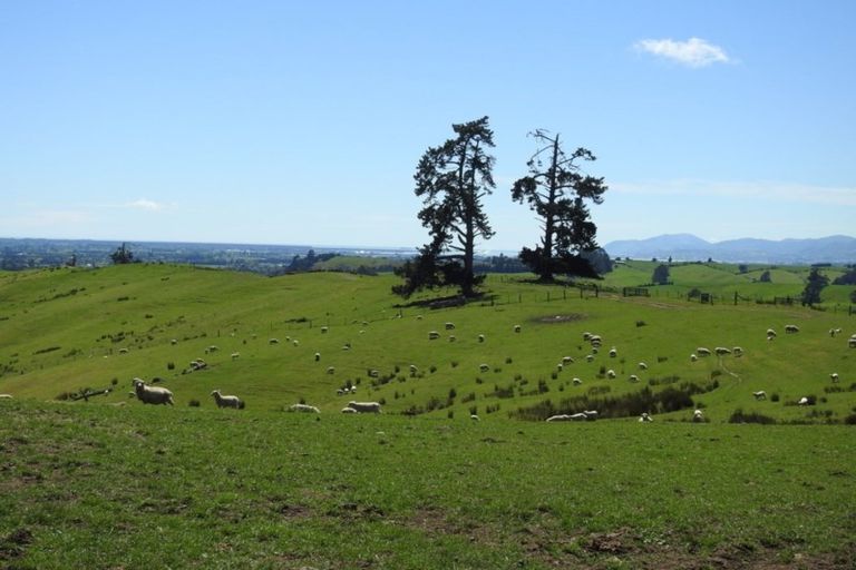 Photo of property in 73 Gibbs Valley Road, Wakefield, 7095