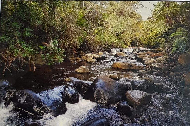 Photo of property in 60 Hume Road, Aongatete, Katikati, 3181