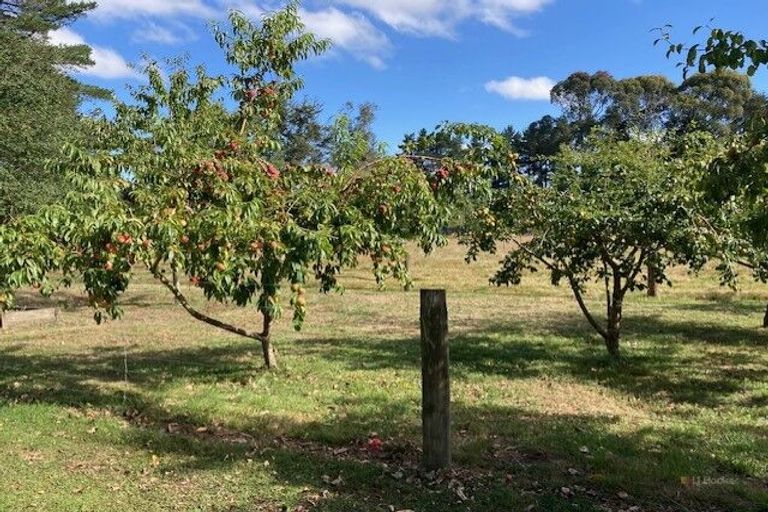 Photo of property in 21 Pleasant Valley Road, Geraldine, 7991