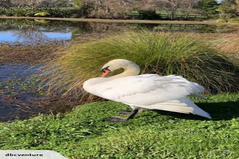 Photo of property in 348 Matua Road, Kumeu, 0891