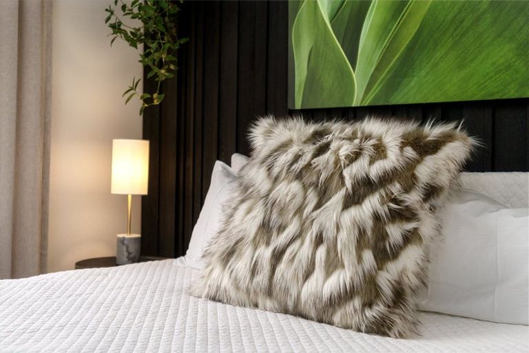 Photo of property in 431 Barbadoes Street, Edgeware, Christchurch, 8013