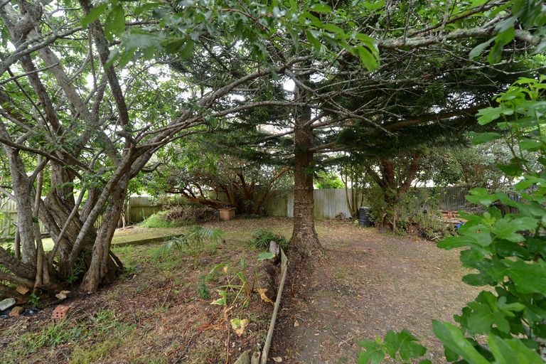 Photo of property in 16 Armstrong Avenue, Woodhill, Whangarei, 0110