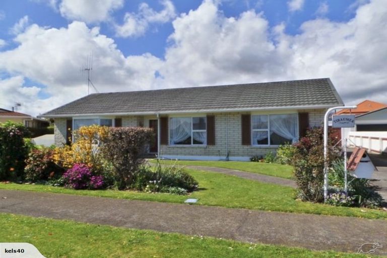 Photo of property in 50 Rimu Street, Levin, 5510