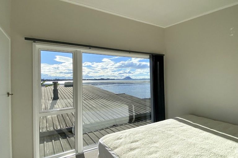 Photo of property in 272a Maungatapu Road, Maungatapu, Tauranga, 3112
