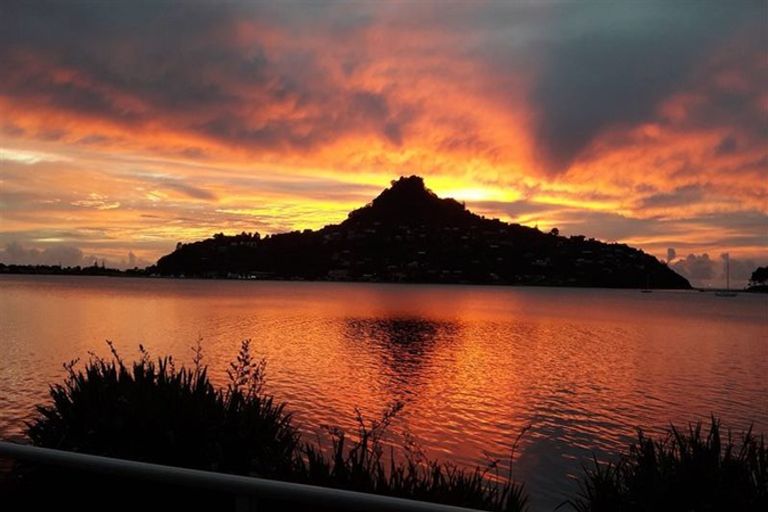 Photo of property in 6 Bay View Terrace, Tairua, 3508