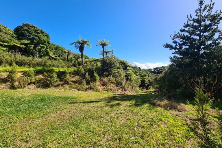 Photo of property in 1092 Driving Creek Road, Coromandel, 3583