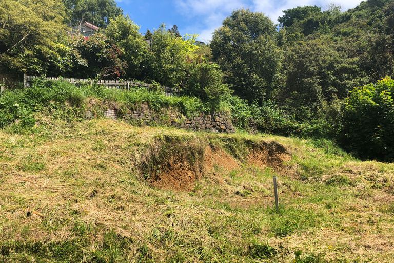 Photo of property in 24 Coombe Hay Terrace, Careys Bay, Port Chalmers, 9023