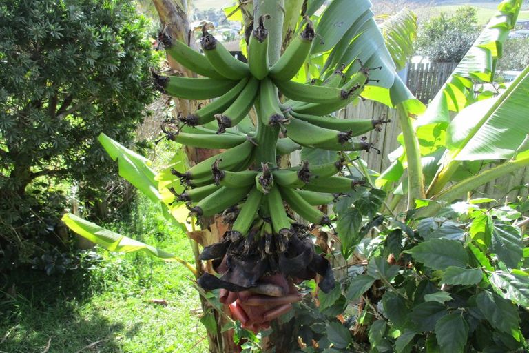 Photo of property in 37 Peninsula Parade, Hihi, Mangonui, 0494