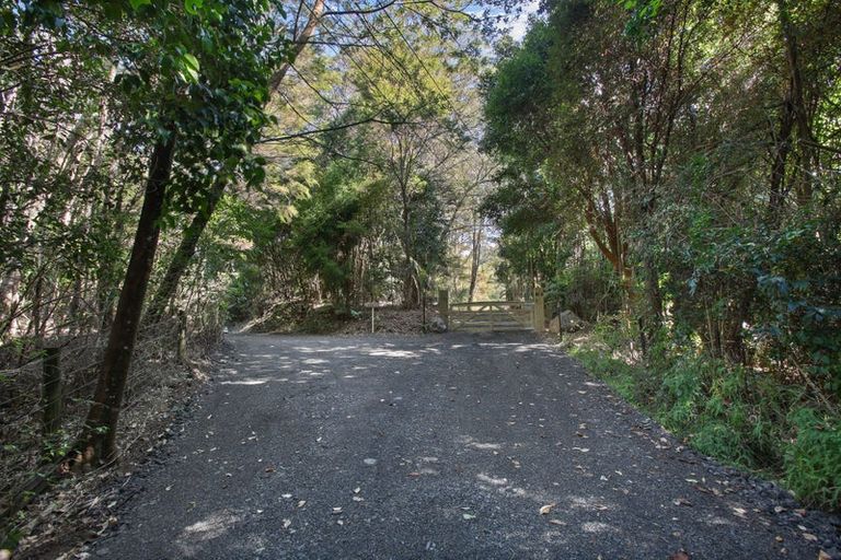 Photo of property in 411a Henderson Valley Road, Henderson Valley, Auckland, 0612