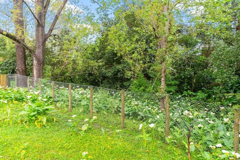 Photo of property in 20 Clyde Street, Dargaville, 0310