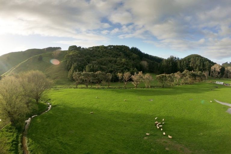 Photo of property in 461 Longacre Road, Okoia, Whanganui, 4582