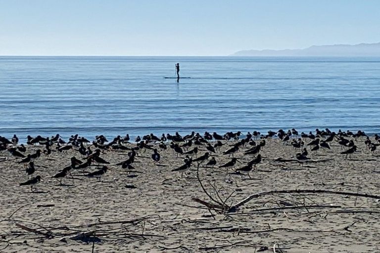 Photo of property in 125 Excellent Street, Collingwood, 7073