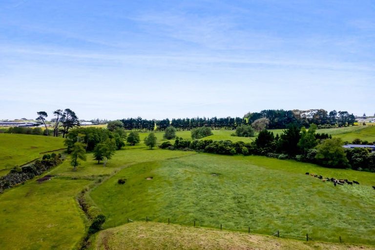 Photo of property in 132 Henwood Road, Paraite, New Plymouth, 4372