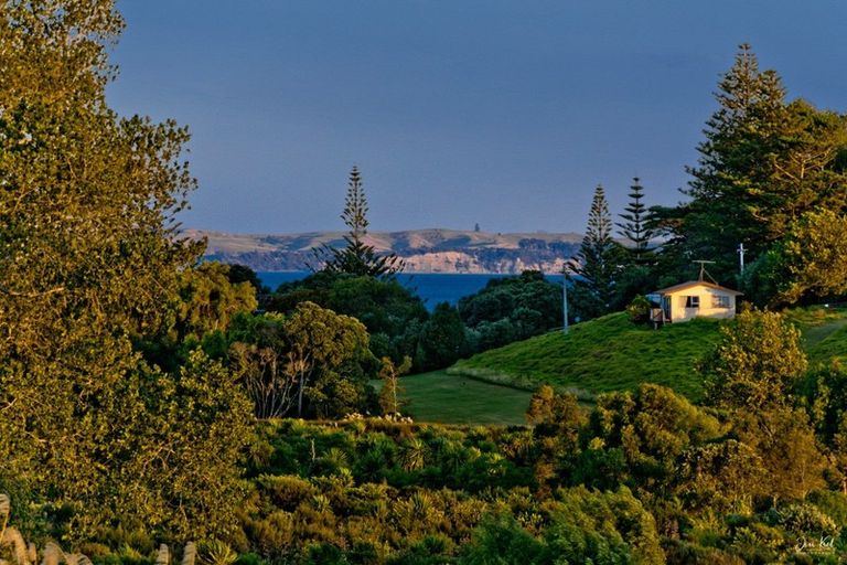 Photo of property in 21 Longshore Drive, Long Bay, Auckland, 0630