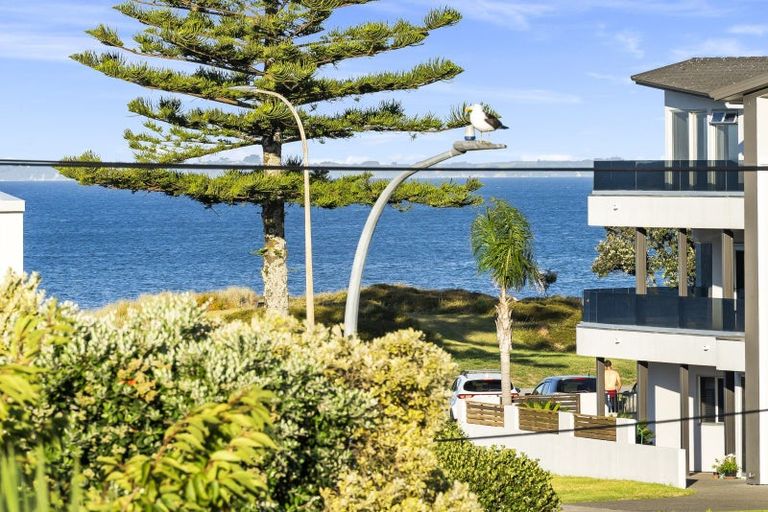 Photo of property in 42b Muricata Avenue, Mount Maunganui, 3116