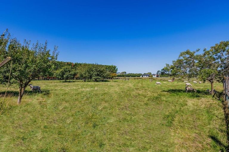 Photo of property in 14 Wingate Road, Opaki, Masterton, 5871