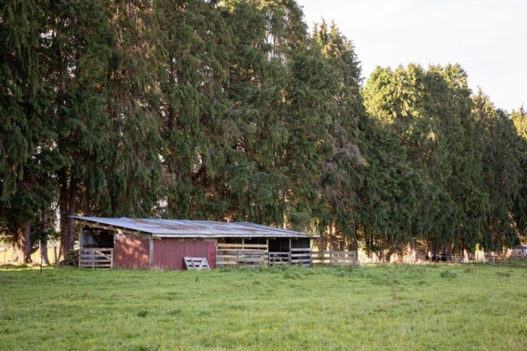 Photo of property in 329 Raetihi Ohakune Road, Raetihi, 4691