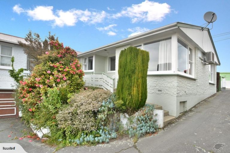 Photo of property in 48c Meadow Street, Mornington, Dunedin, 9011