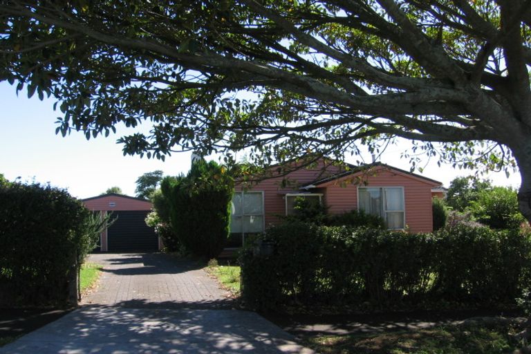 Photo of property in 18 Taratoa Street, Point England, Auckland, 1072