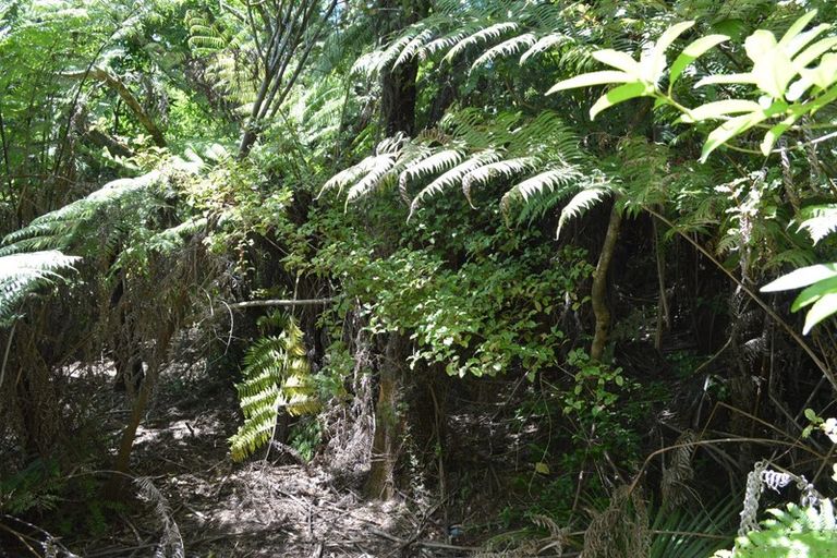 Photo of property in 1128 Kennedy Bay Road, Kennedy Bay, Coromandel, 3583