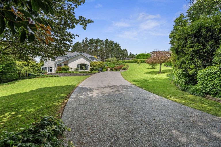 Photo of property in 17 Wallace Place, Tauriko, Tauranga, 3110