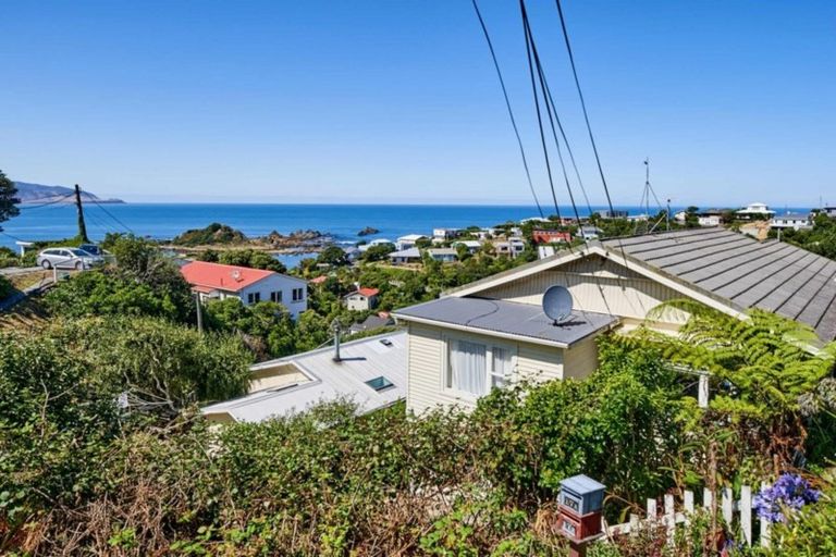 Photo of property in 17 Oku Street, Island Bay, Wellington, 6023
