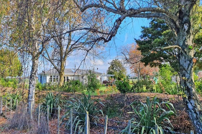 Photo of property in 62 Paki Paki Road, Longlands, Hastings, 4174