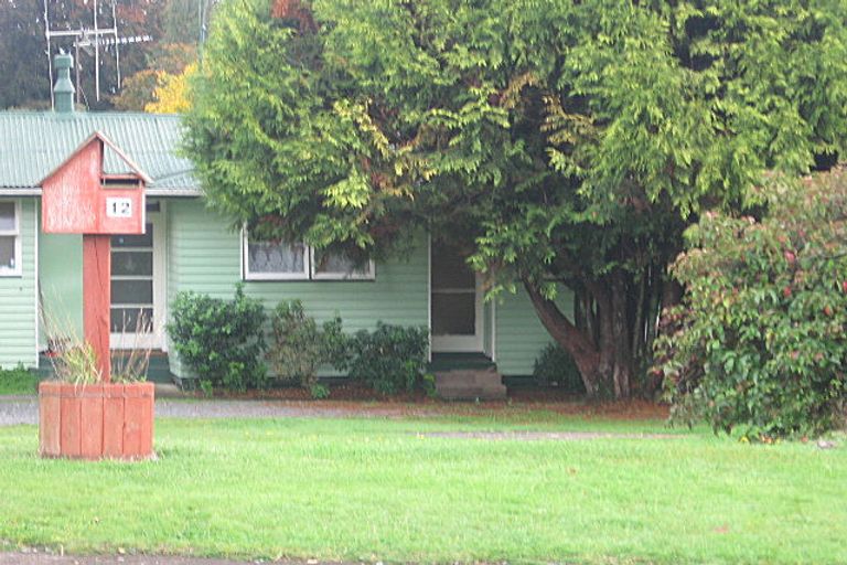 Photo of property in 12 Carrington Crescent, Tokoroa, 3420
