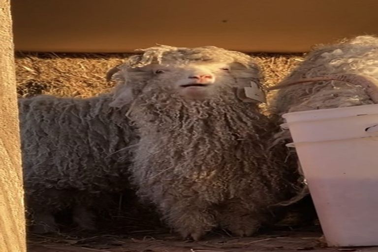 Photo of property in 62 Norris Drive, Swannanoa, Kaiapoi, 7692