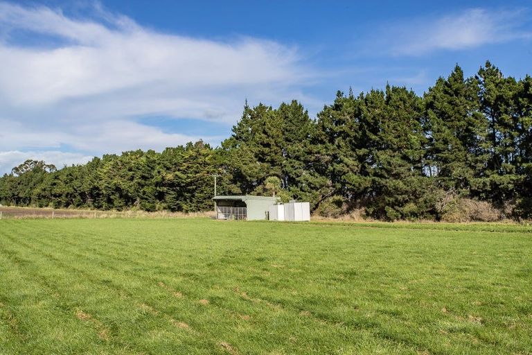 Photo of property in 49 Webbs Road, Amberley, 7481