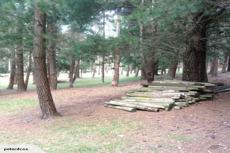 Photo of property in 524 Hayland Road, Okuku, 7473