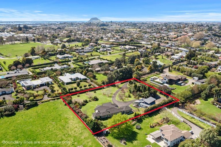 Photo of property in 37b Moffat Road, Bethlehem, Tauranga, 3110