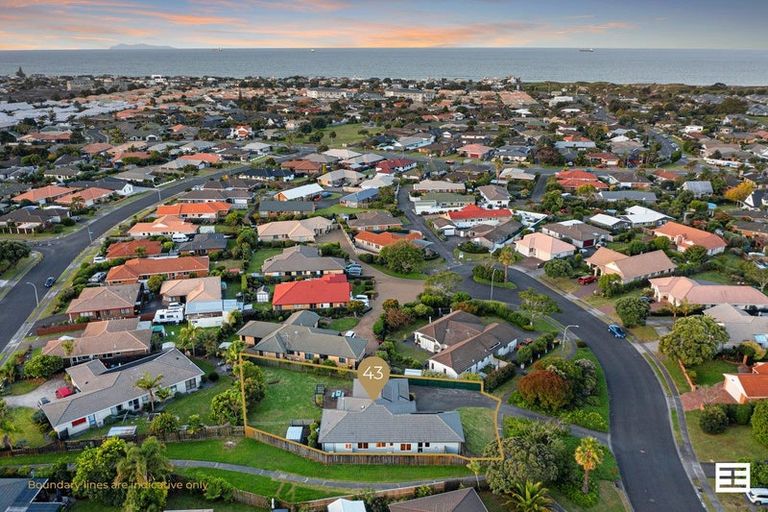 Photo of property in 43 Jasmine Place, Mount Maunganui, 3116