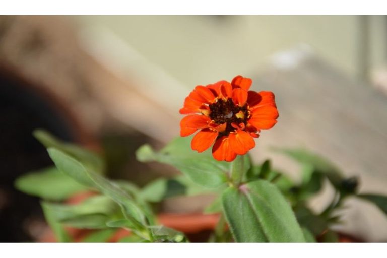 Photo of property in 11a Shepherd Road, Waipahihi, Taupo, 3330