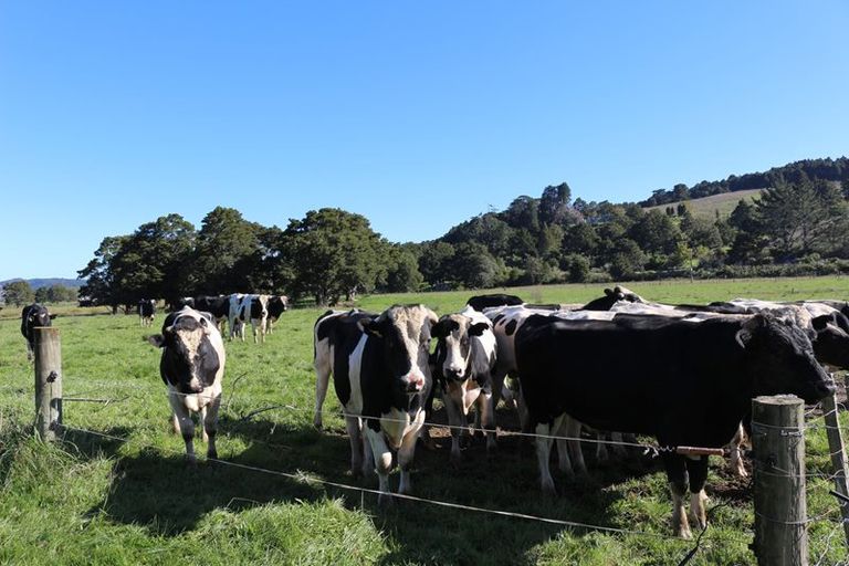 Photo of property in 1848 State Highway 1, Whakapara, Hikurangi, 0182