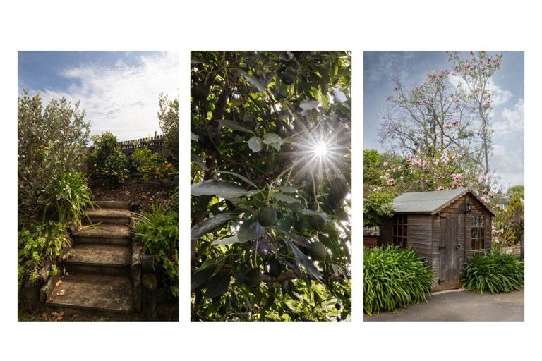 Photo of property in 163 Ohauiti Road, Hairini, Tauranga, 3112