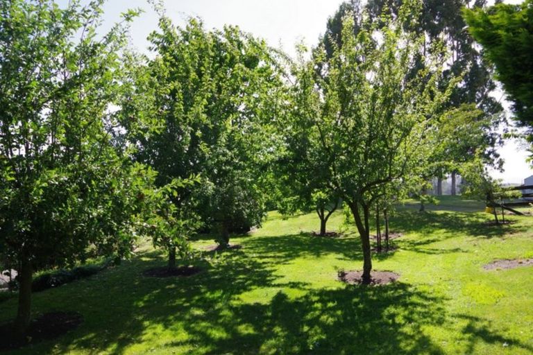Photo of property in 141 Palmer Mill Road, Wairakei, Taupo, 3384