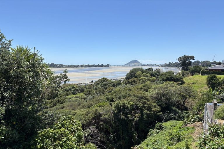 Photo of property in 91 Seventh Avenue, Tauranga, 3110