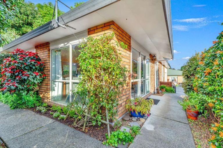 Photo of property in 15 Baden Street, Otumoetai, Tauranga, 3110