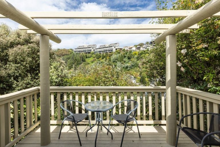 Photo of property in 15 Hospital Lane, Hospital Hill, Napier, 4110