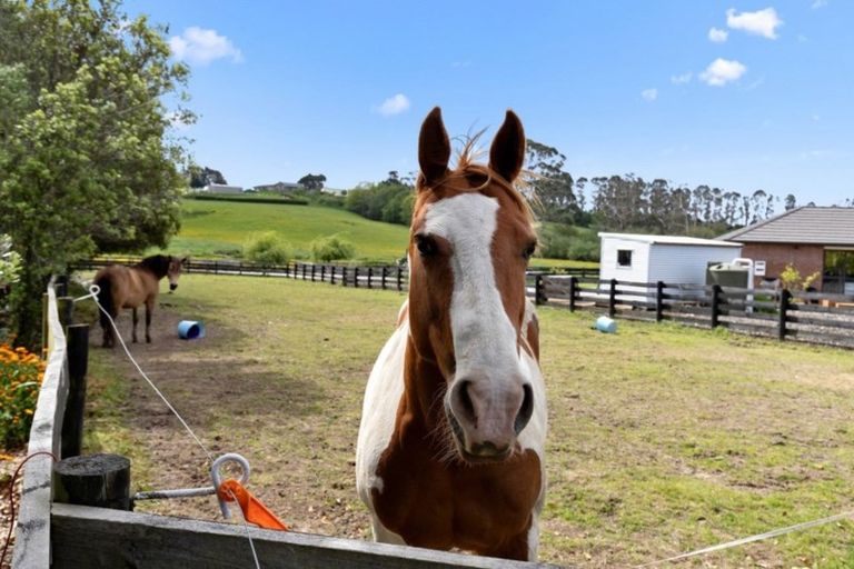 Photo of property in 115b Travers Road, Te Kauwhata, 3782